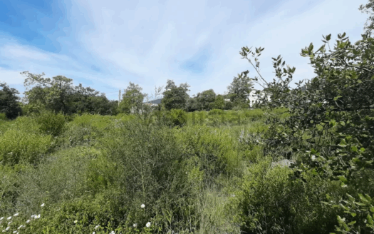 Terreno en venta en Calle dels Tiŀlers