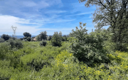 Terreno en venta en Calle dels Tiŀlers