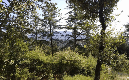 Terreno en venta en Calle de Sant Bernat