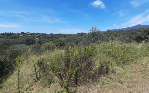 Terreno en venta en pla de calma