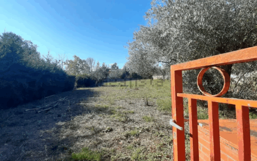 Terreno en venta en Calle Mimosa, 3