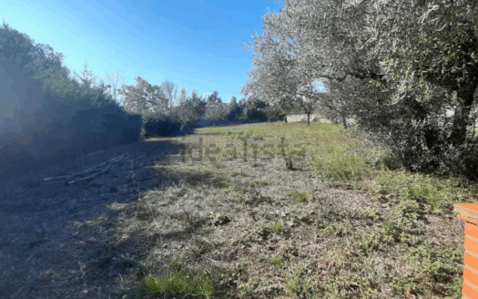 Terreno en venta en Calle Mimosa, 3