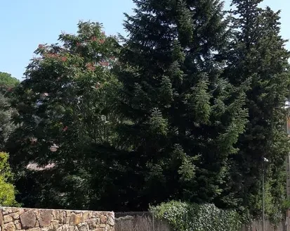 Terreno en Urbanización Can Vila,Sant Pere de Vilamajor